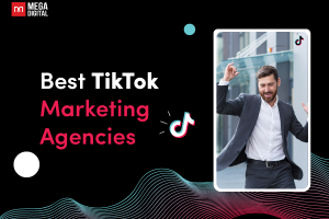 Top 13 best TikTok Marketing Agencies in 2022 [Updated]