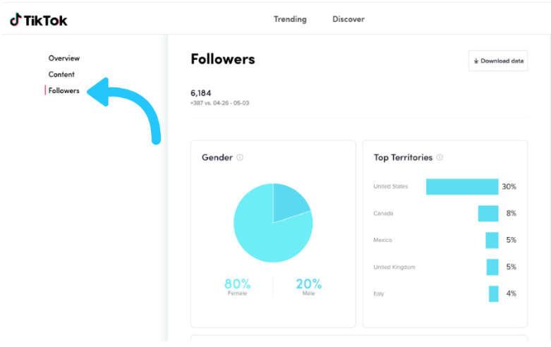 Use TikTok Analytics for your marketing strategy