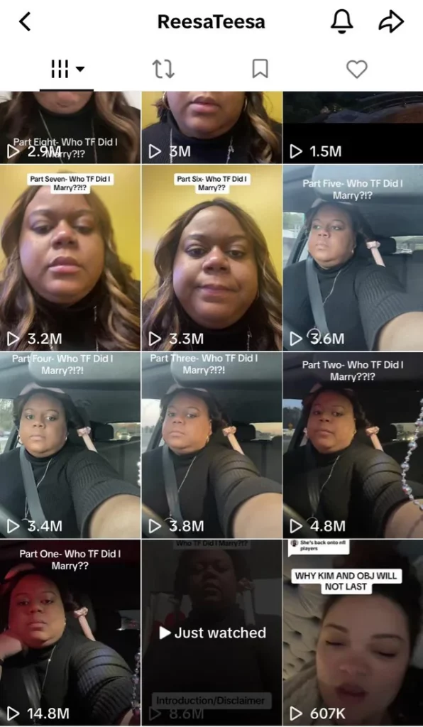  TikTok Series