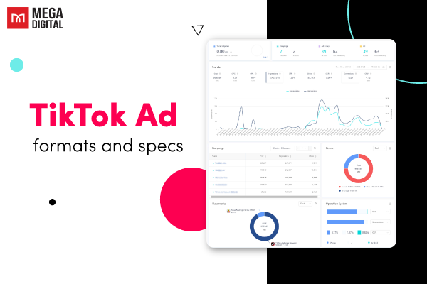 TikTok ad formats and specs