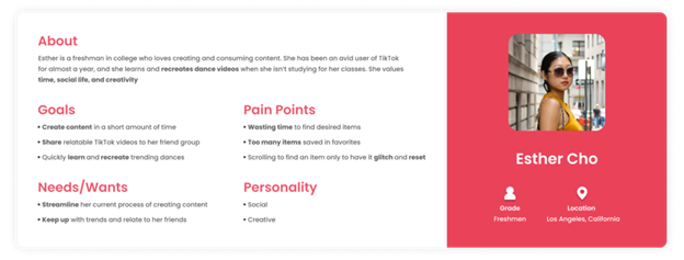 Customer's persona example