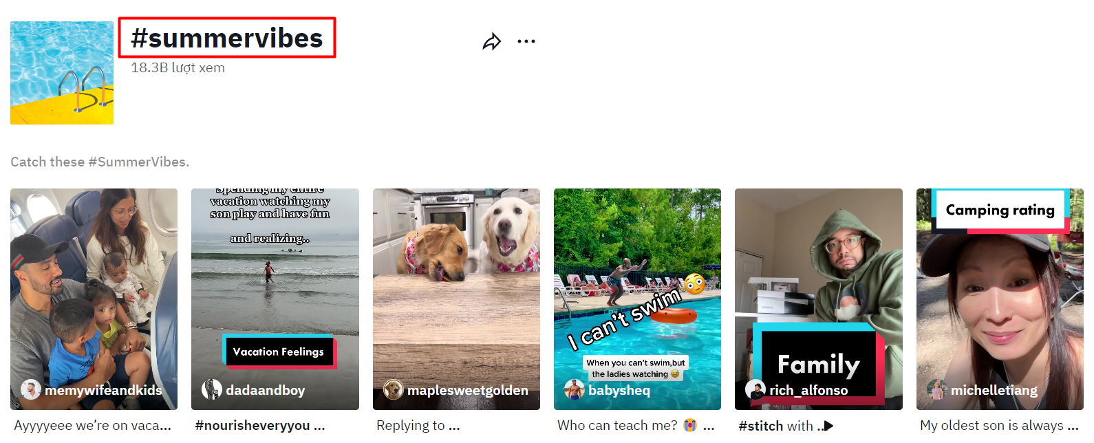 Follow TikTok trends