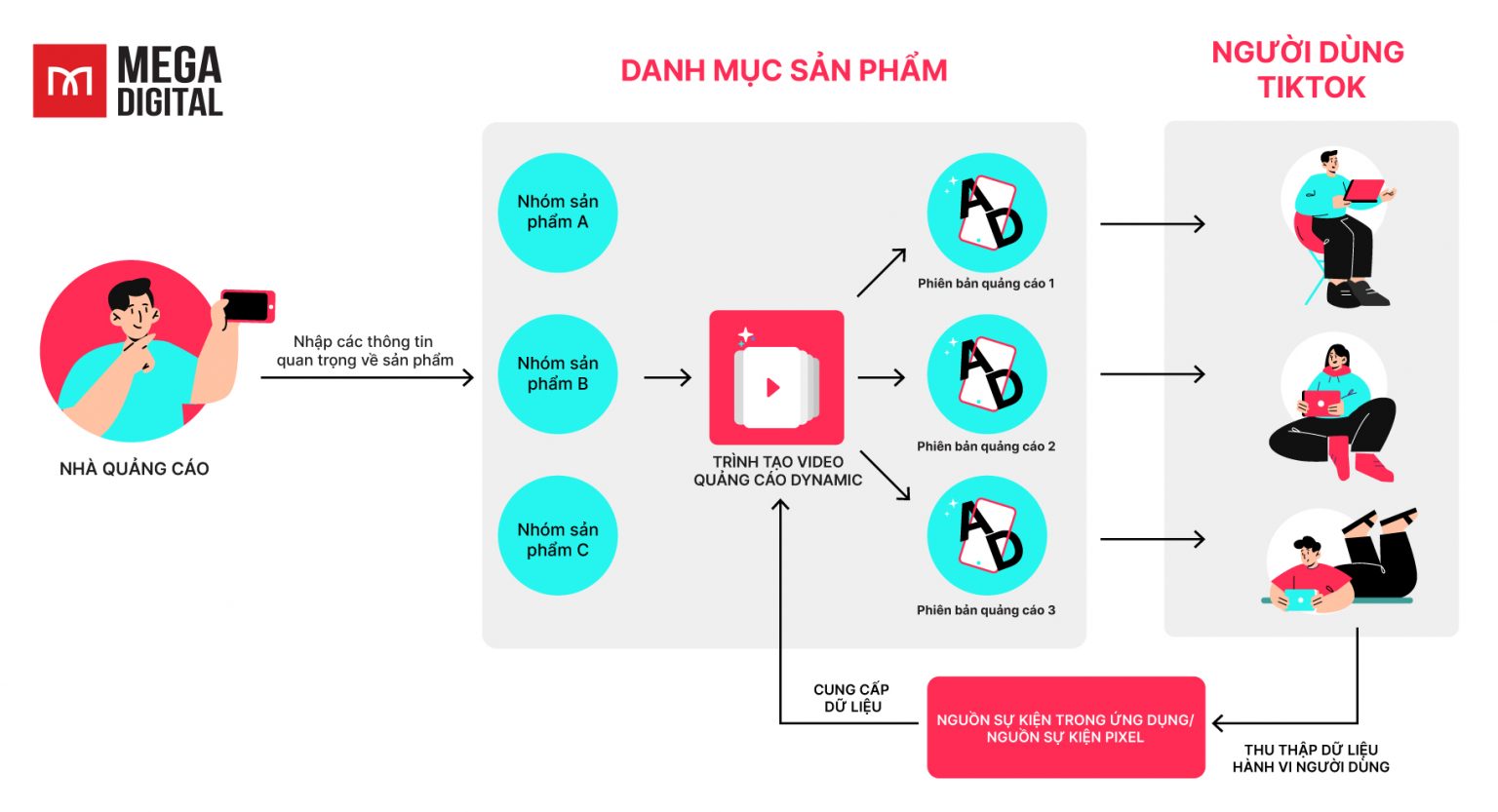 Dynamic Showcase TikTok là gì? Thông số & hướng dẫn thiết lập