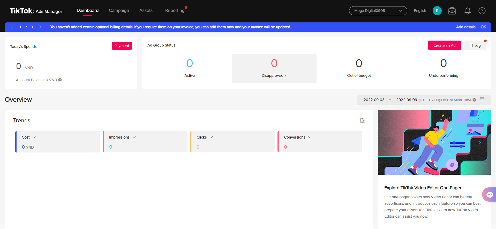 TikTok Ad Manager Dashboard