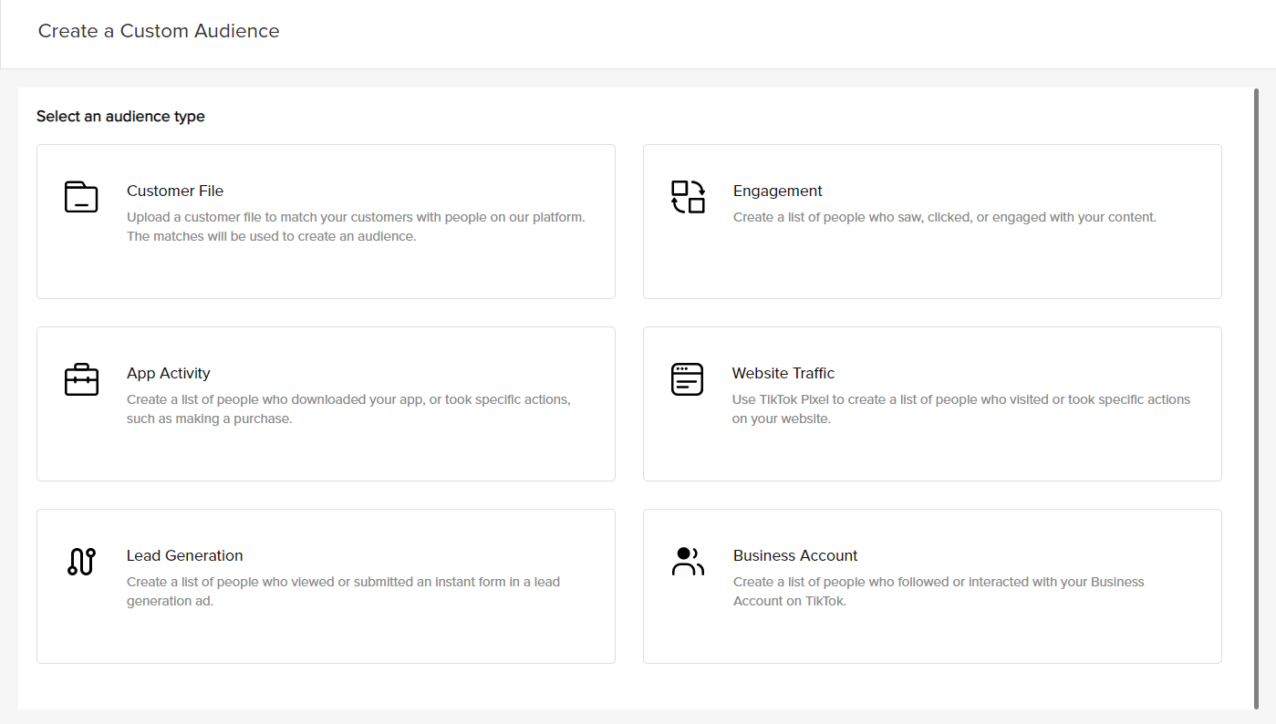 TikTok Ads custom audience 