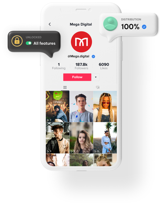 Mega Digital TikTok Ad Agency Account