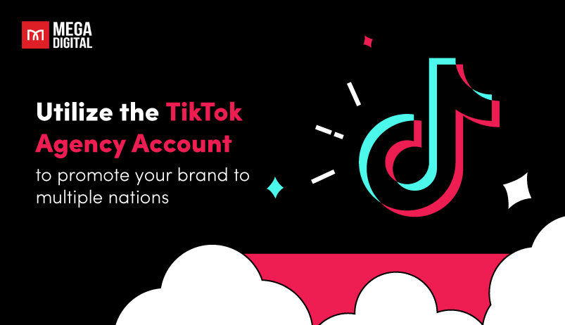 Utilize the TikTok Agency Account