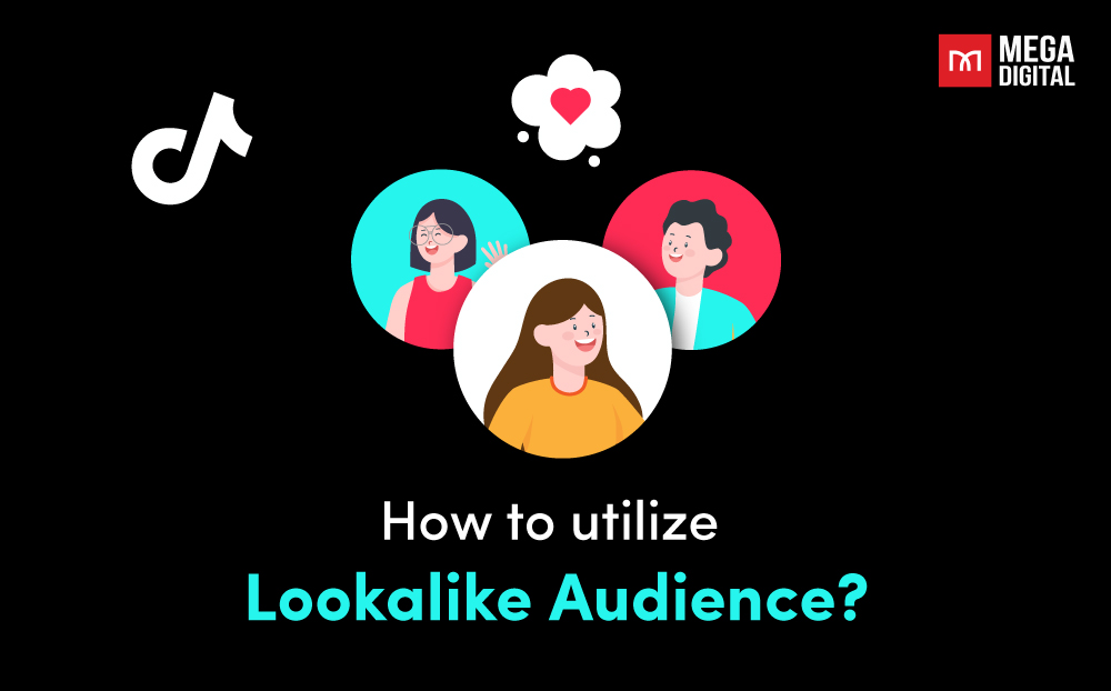 How to utilize Lookalike Audience?