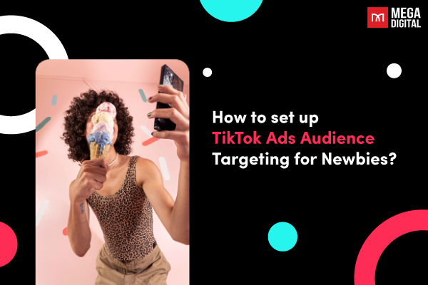TikTok Audience Targeting