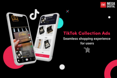 TikTok Collection Ads: Seamless Shopping experience for users