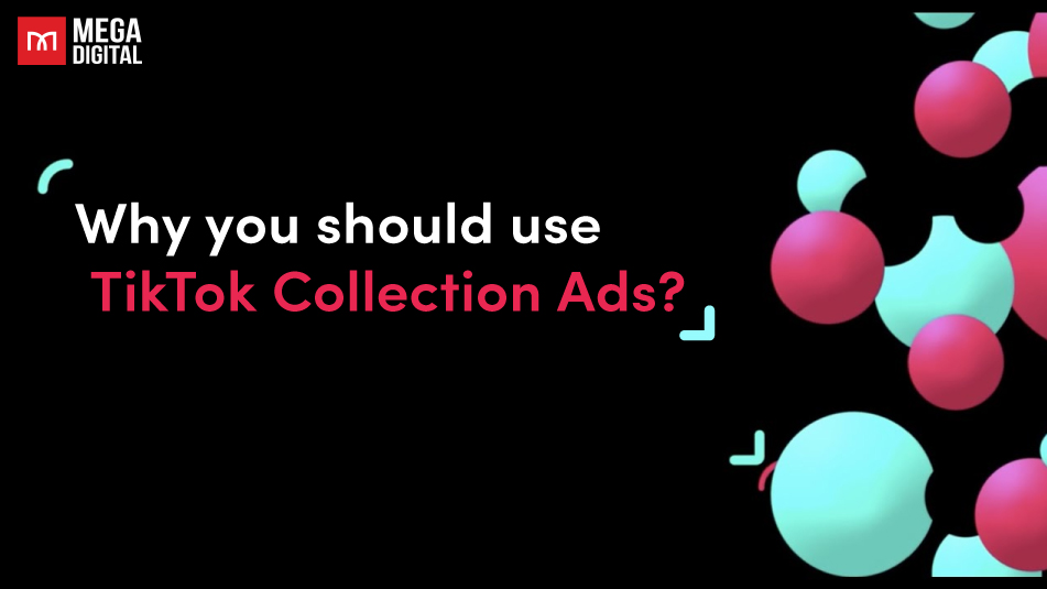 Why you should use TikTok Collection Ads