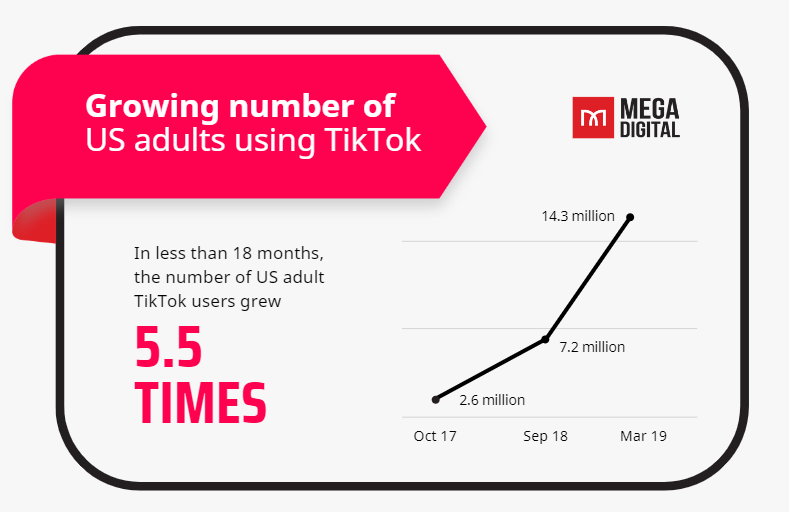 TikTok diversity of users