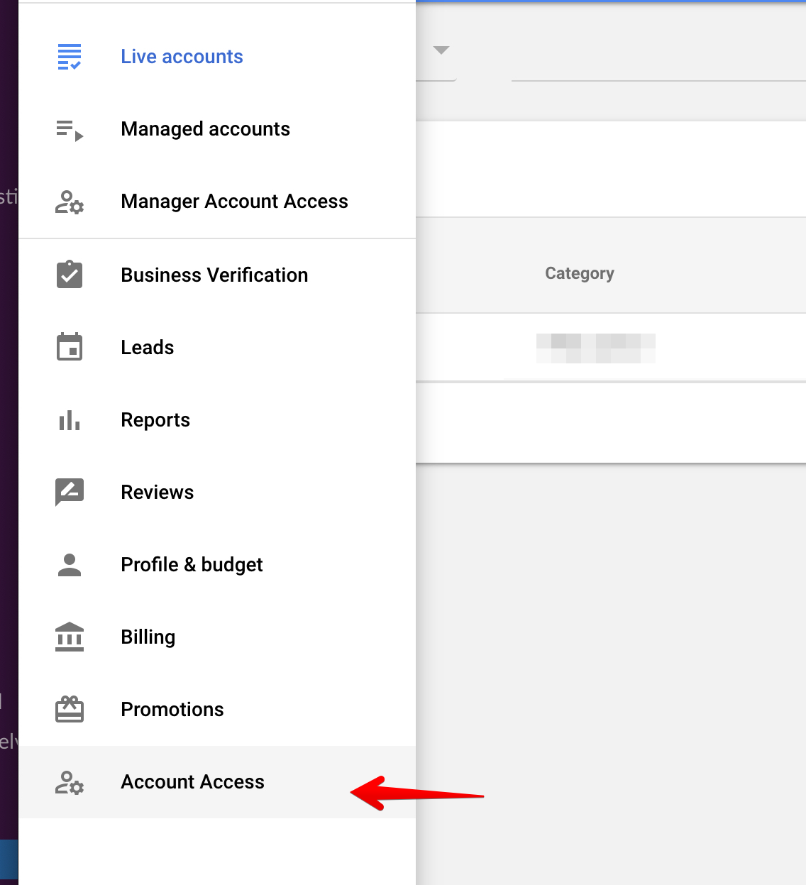 account access in google ads manager account