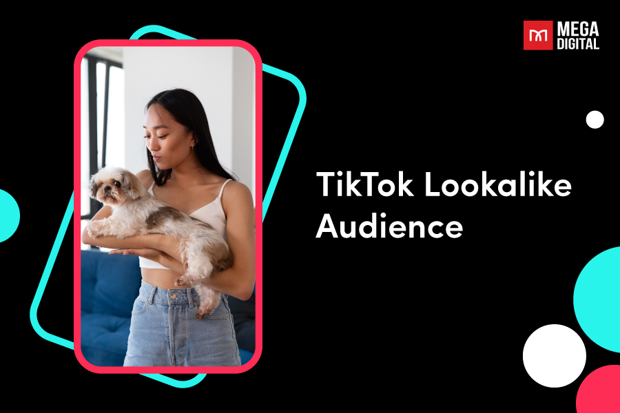 TikTok Lookalike Audience