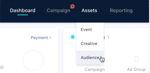 Check Audience in Assets - TikTok Lookalike