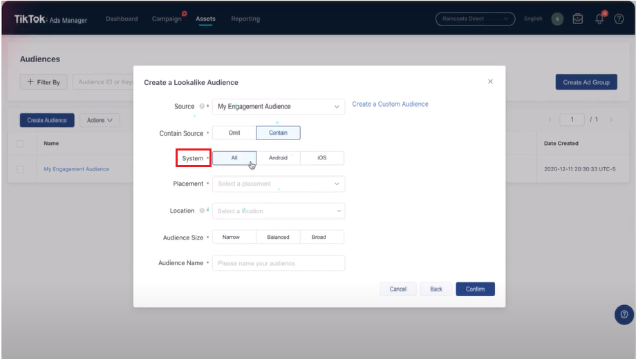 Select the preferred system - TikTok Lookalike Audience