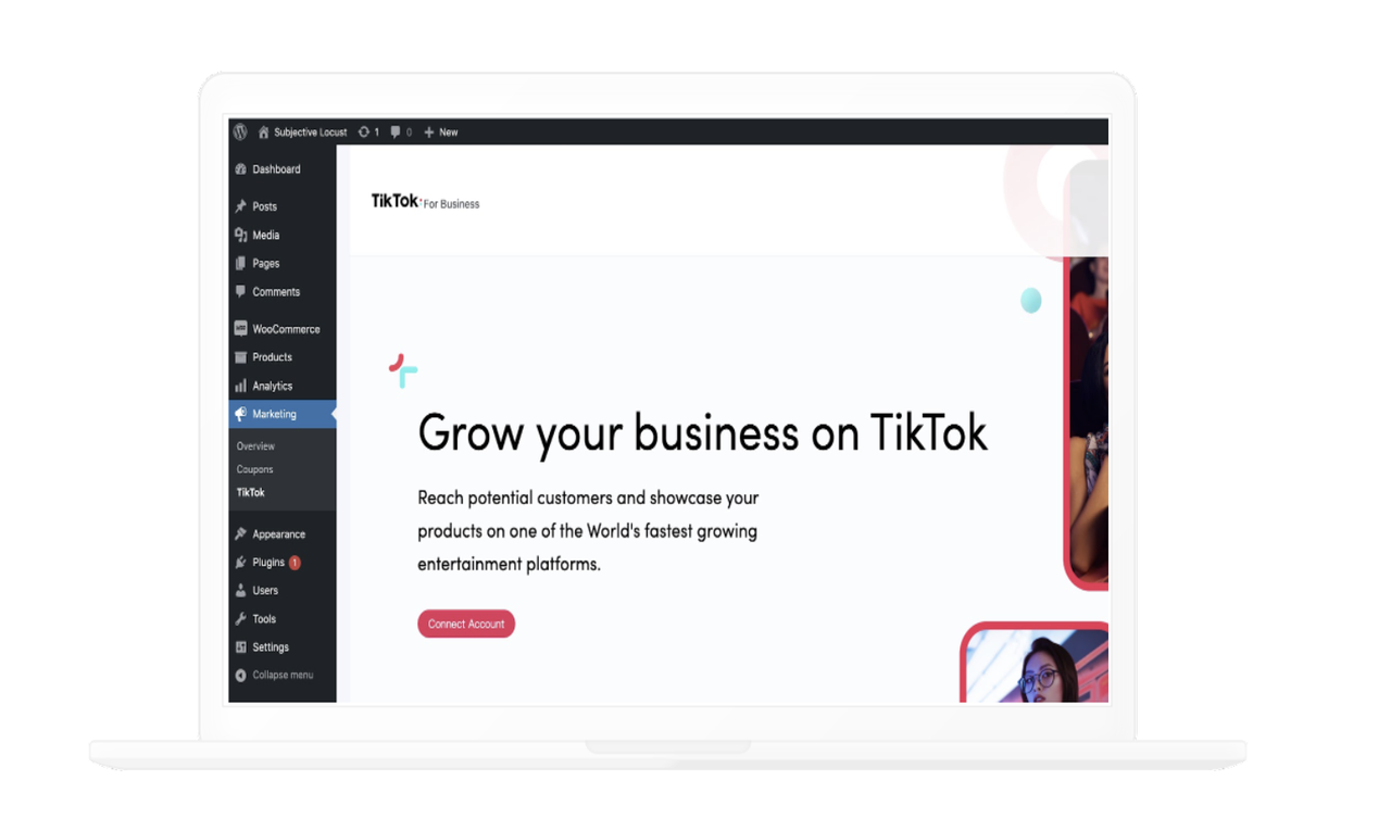 Add TikTok extension in WooCommerce