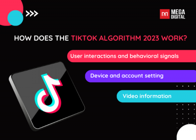 What Is TikTok Algorithm? How To Stay Ahead Of The Competition?