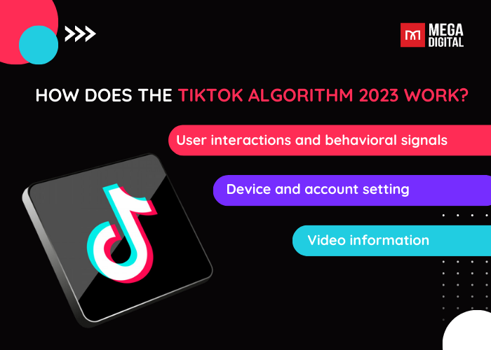 How the operation of the Tiktok algorithm work