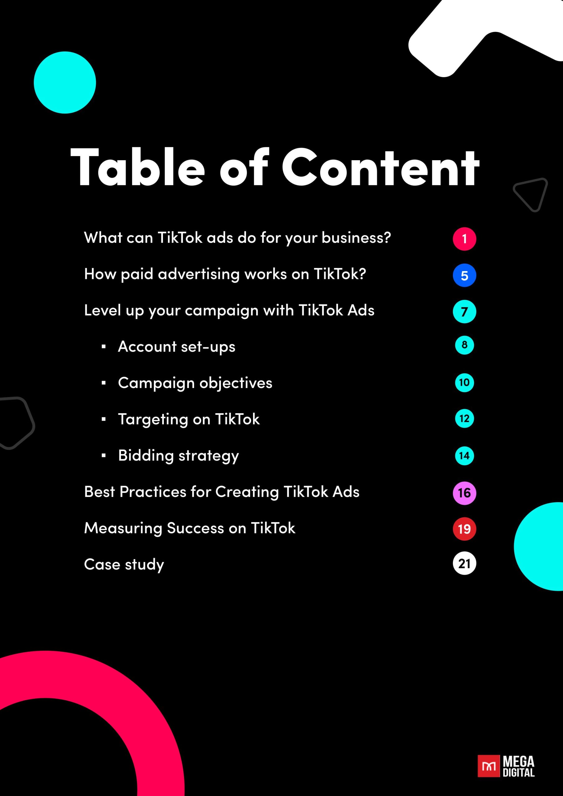 TikTok Ads 101