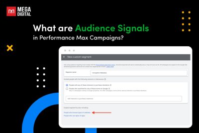 audience signals performance max