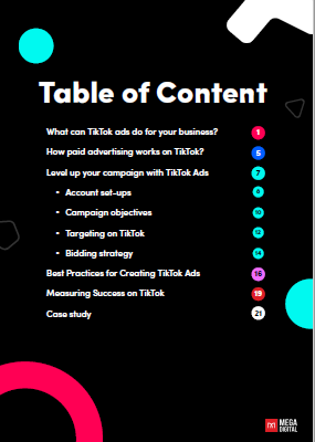 [Ebook] TikTok Advertising 101: Crash Course For Ad Beginners