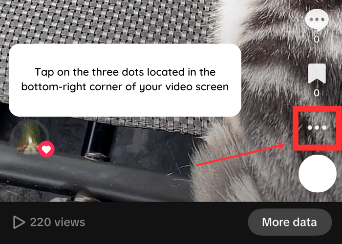 Unleash Potential: 4 Unpredictable TikTok Promotion Features