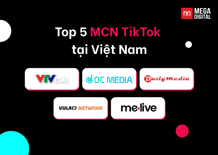Top 5 MCN TikTok bên trên nước Việt Nam 