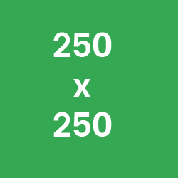 250 x 250 – Square