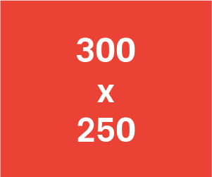 300 x 250 – Inline Rectangle