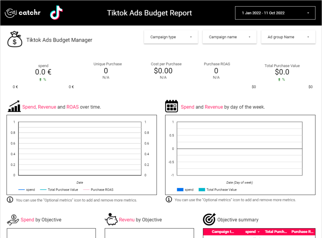TikTok ads budget report