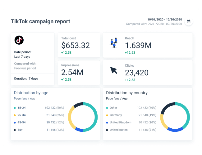 Example of a TikTok campaign report 