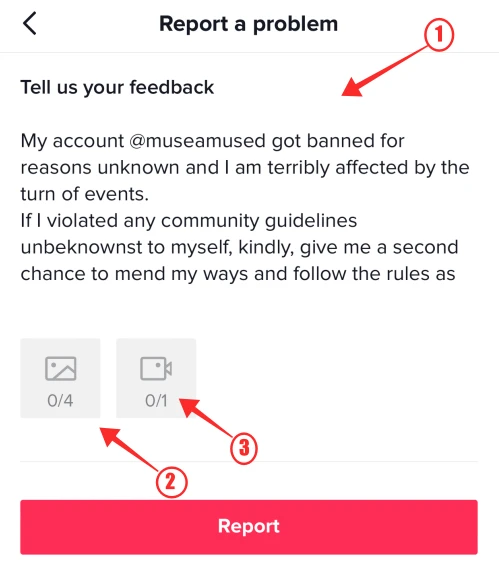 how to log in after getting unbanned roblox connection error｜TikTok Search