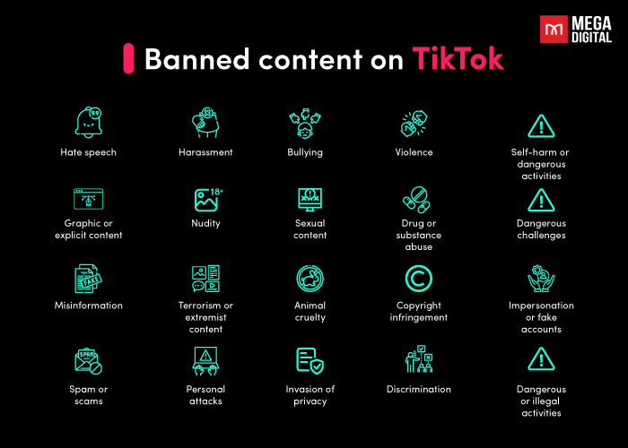 Banned content on TikTok