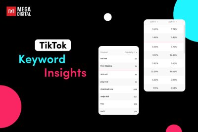 TikTok keyword insights