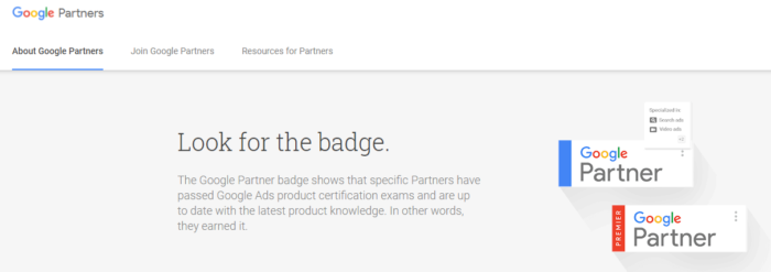 What are the Google Partner in india badge requirements?