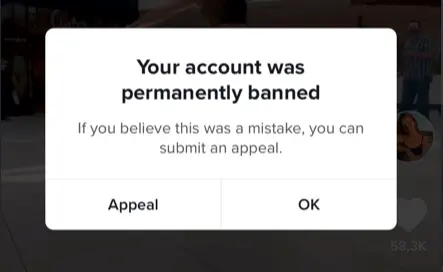 Initiate an "Appeal" from Your Banned Account