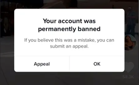 TikTok permanent ban (Cấm vĩnh viễn)