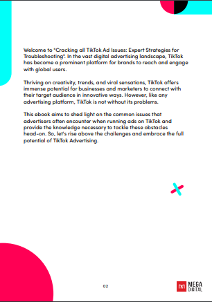 [Ebook] Cracking all TikTok Ads issues - Page 2