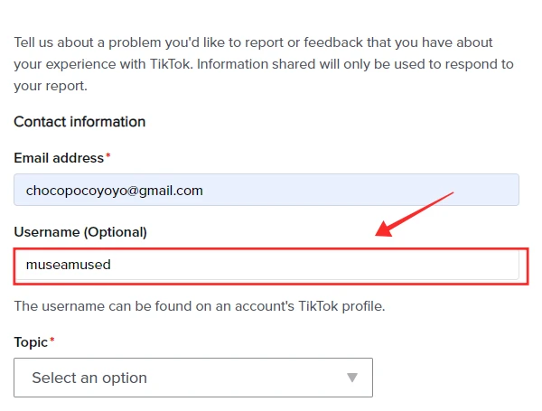 User name in "Share Your Feedback" Form