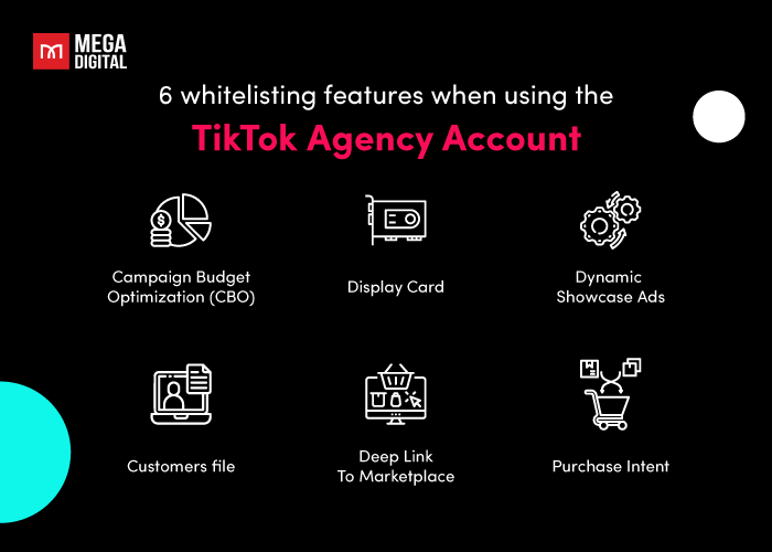 6 whitelisting features when using the TikTok agency account