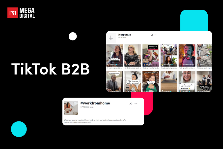 tiktok b2b marketing