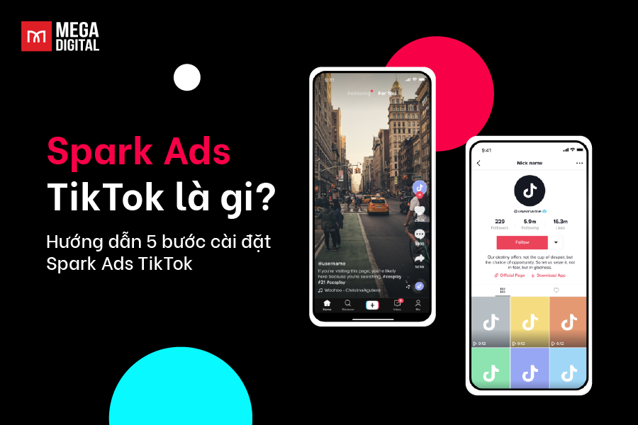 Spark Ads TikTok