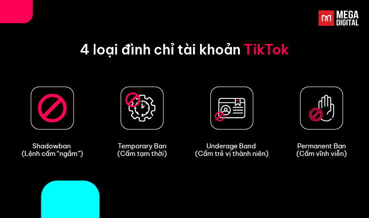4 loại tài khoản TikTok bị đình chỉ