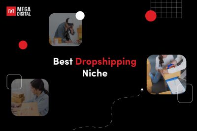 best dropshipping niches