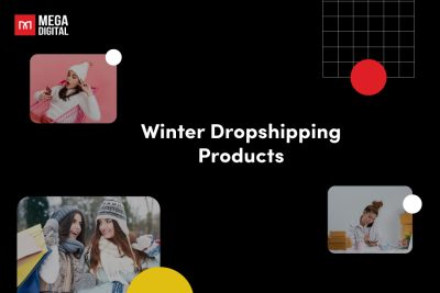 winter dropshipping product