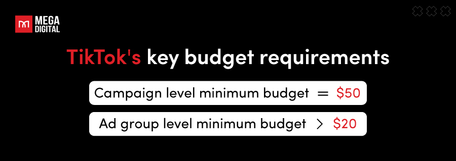 TikTok key budget requirements