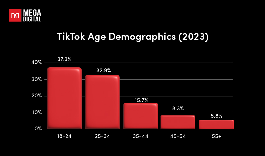 Overview of TikTok age demographics of TikTok users in 2023