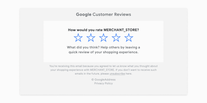 establish Google Review Collection