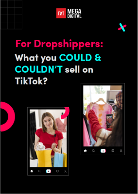 Ebook TikTok Dropshipping Guide